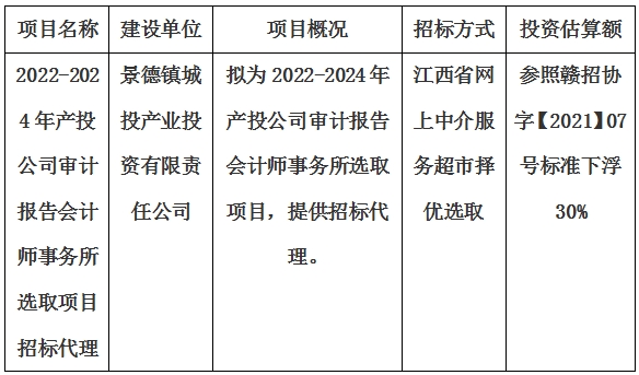 2022-2024年產(chǎn)投公司審計(jì)報(bào)告會計(jì)師事務(wù)所選取項(xiàng)目招標(biāo)代理計(jì)劃公告