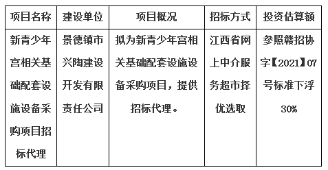 新青少年宮相關(guān)基礎(chǔ)配套設(shè)施設(shè)備采購(gòu)項(xiàng)目招標(biāo)代理計(jì)劃公告